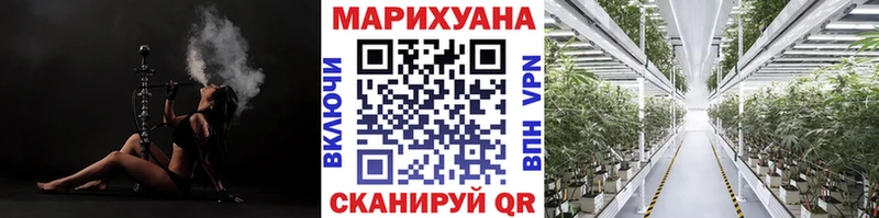Бошки марихуана марихуана  кракен зеркало  Биробиджан 